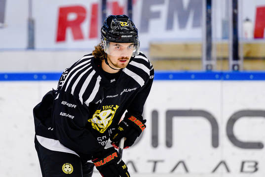 Brynäs Adam Brodecki