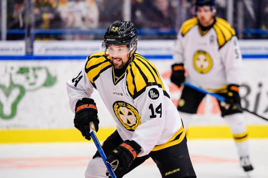 Brynäs Johan Alcén