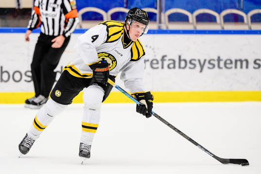 Brynäs Niclas Lundgren