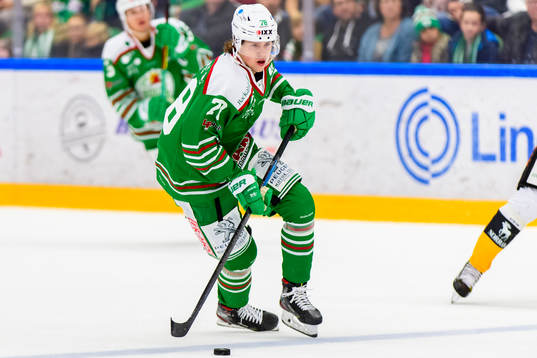 Rögles Dominik Bokk