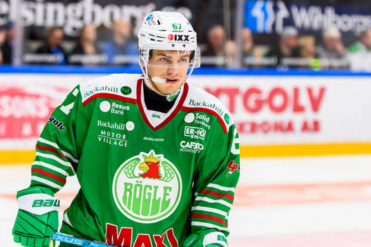 Rögles Leon Bristedt