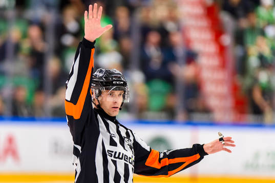 Domare Mikael Andersson