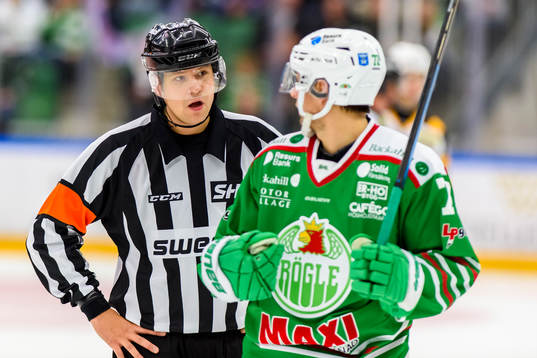 Domare Kristijan Nikolic samspråk med Rögles Daniel Zaar