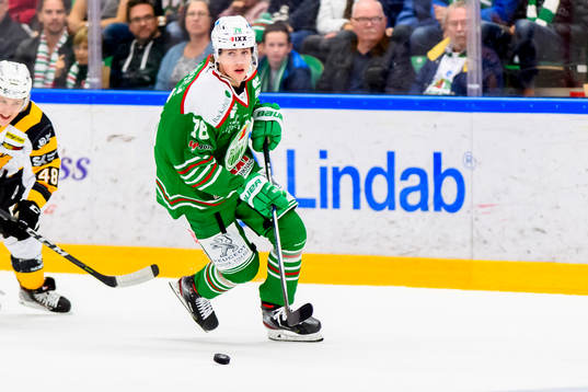 Rögles Dominik Bokk