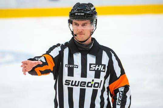 Domare Thomas Andersson