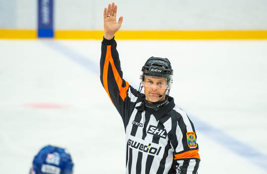 Domare Mikael Nord