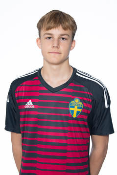 Elis Wahl i P15-landslaget