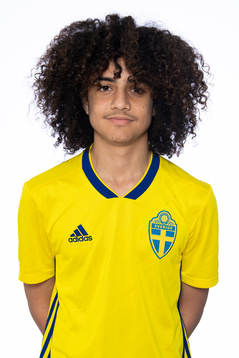 Bläddra bland fler bilder av Fotboll, Landslag, P15, Porträtt