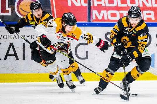 Bläddra bland fler bilder av Ishockey, SHL, Skellefteå - Luleå