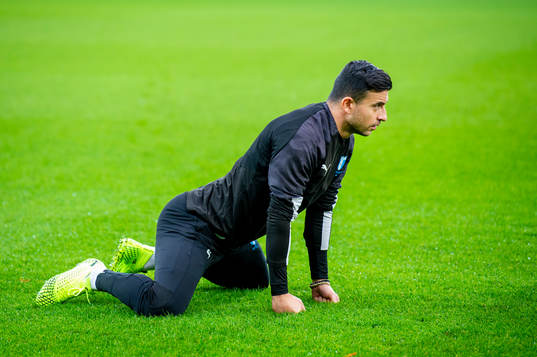 Behrang Safari of Malmö FF