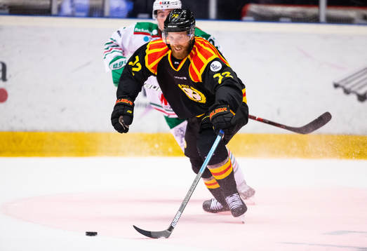 Brynäs Joachim Rodin