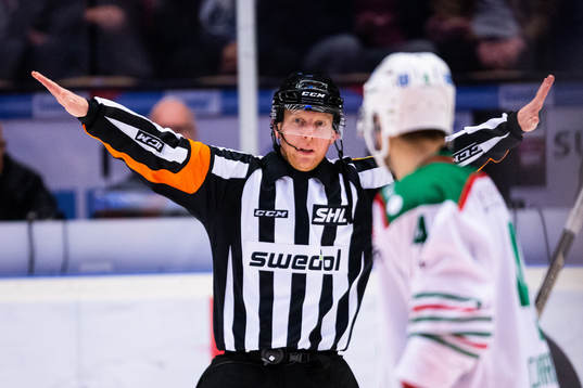 Domare Mikael Holm dömer bort Rögles 0-1 mål