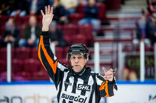 Domaren Morgan Johansson