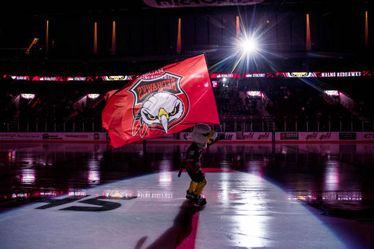 Malmö Redhawks maskot Hawkan i Malmö Arena innan