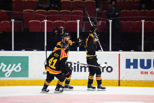 Brynäs Anton Rödin jublar