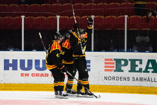 Brynäs Anton Rödin jublar