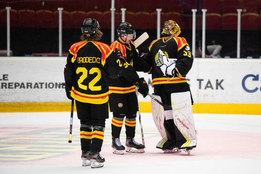 Brynäs Adam Brodecki, Linus Ölund och målvakt Samuel