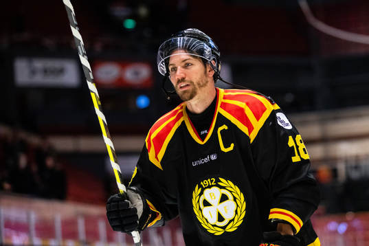Brynäs Anton Rödin