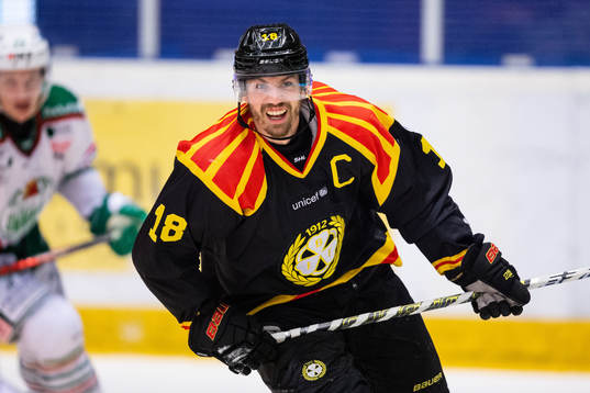 Brynäs Anton Rödin