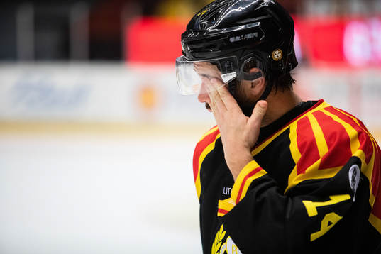 Brynäs Johan Alcén