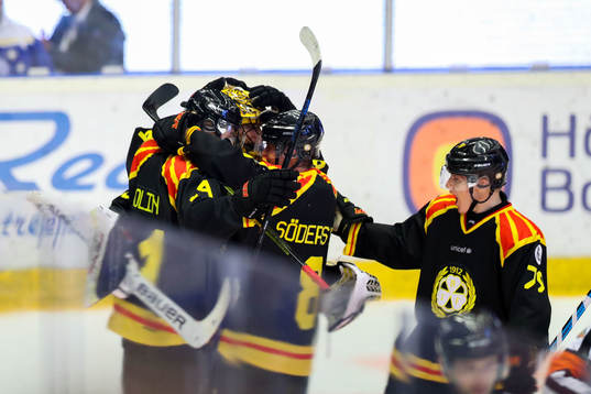 Brynäs spelare jublar