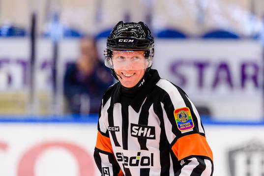 Domare Mikael Holm