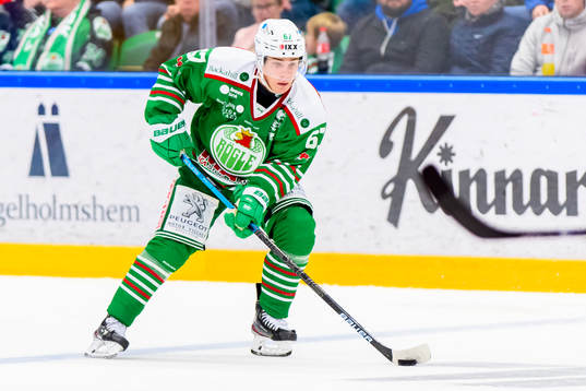 Rögles Leon Bristedt