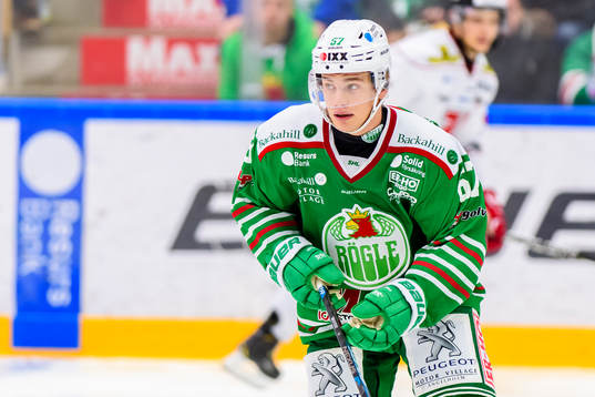 Rögles Leon Bristedt