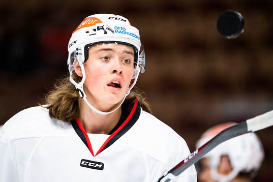 Malmö Redhawks Malte Setkov