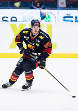 Djurgårdens Michael Haga