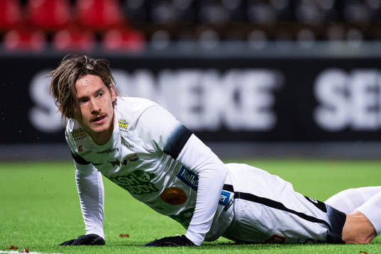 Varbergs Robin Book
