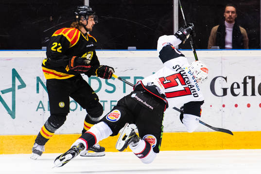 Brynäs Adam Brodecki och Malmö Redhawks Emil Sylvegård