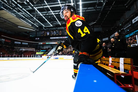 Brynäs Johan Alcén