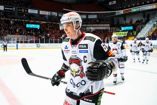 Malmö Redhawks Fredrik Händemark jublar