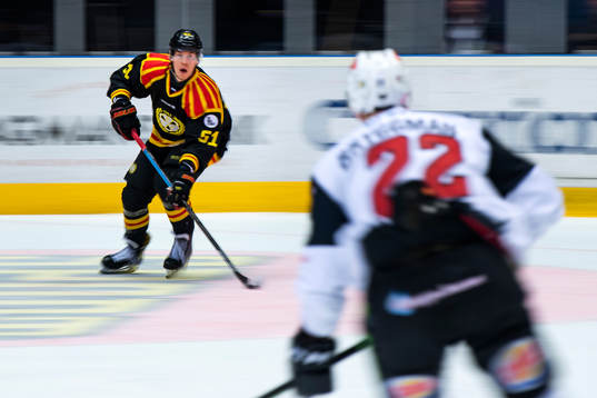 Brynäs Tomi Sallinen