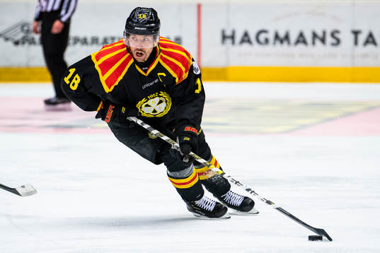 Brynäs Anton Rödin
