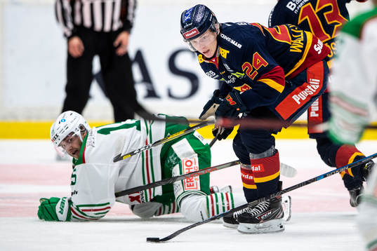 Djurgårdens Erik Walli-Walterholm