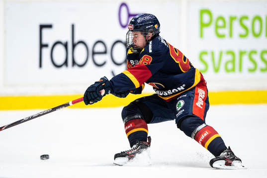 under ishockeymatchen i SHL mellan Djurgården och Rögle