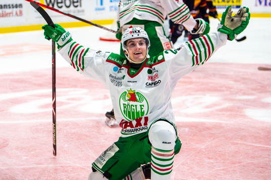 Bläddra bland fler bilder av Ishockey, SHL, Djurgården - Rögle