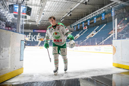 Nils Höglander