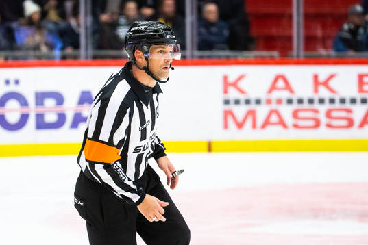 Domare Mikael Nord