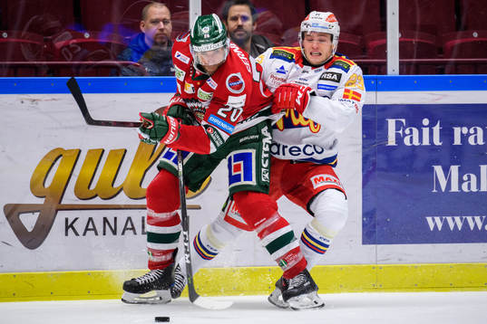 Frölundas Joel Lundqvist och Malmö Redhawks Christoffer