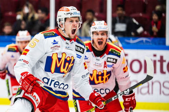 Bläddra bland fler bilder av Ishockey, SHL, Malmö Redhawks - Frölunda
