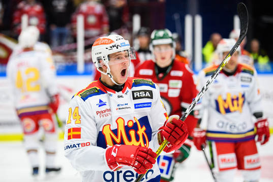 Malmö Redhawks Carl-Johan Lerby