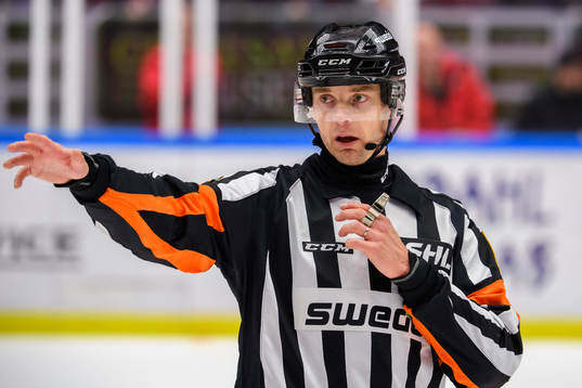 Domare Mikael Andersson