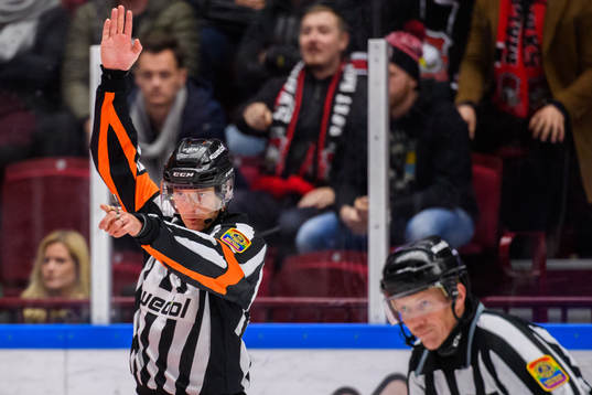 Domare Mikael Sjöqvist