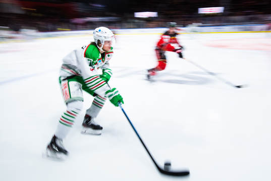 Rögles Dominik Bokk
