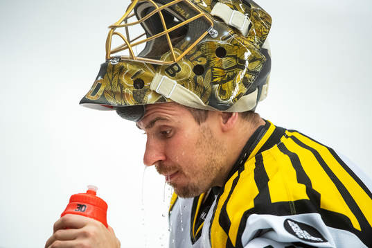 Brynäs målvakt Joacim Eriksson