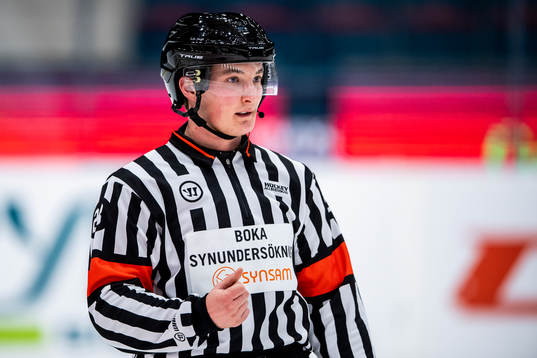 Domare Alexander Österberg