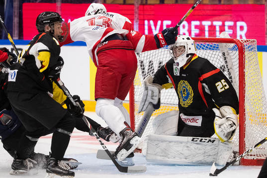 Södermanlands målvakt Leo Matthiesen